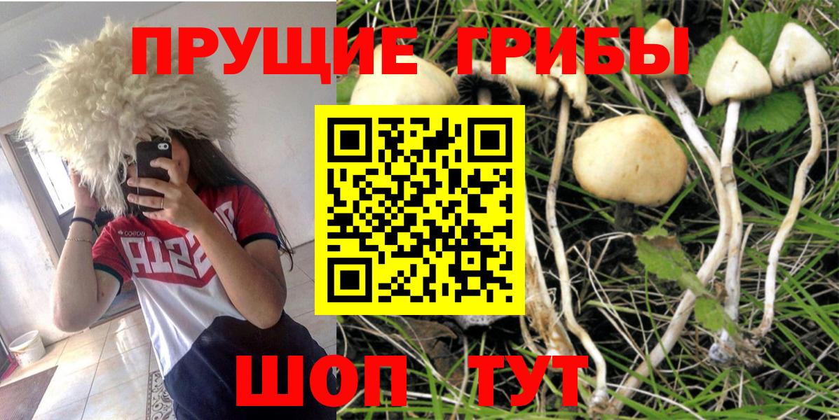 Галлюциногенные грибы прущие грибы  Псилоцибиновые грибы MAGIC MUSHROOMS  Вход с VPN  Тельмана 