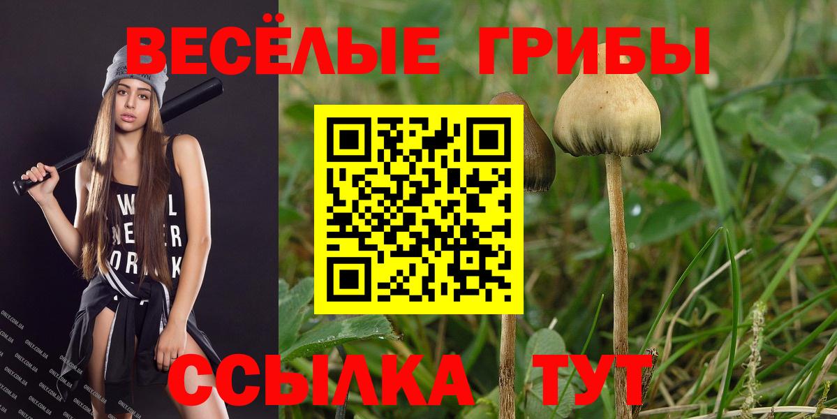 Псилоцибиновые грибы Cubensis Тельмана